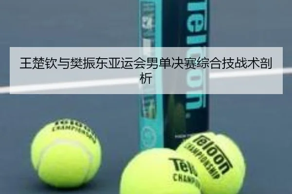 王楚钦与樊振东亚运会男单决赛综合技战术剖析